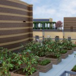 PC rooftop garden