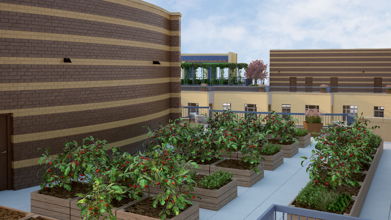 PC rooftop garden