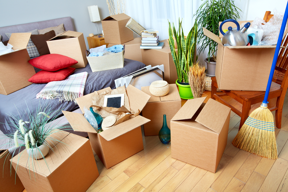 Why rent moving supplies even if you are not hiring movers - Capital City  Bins