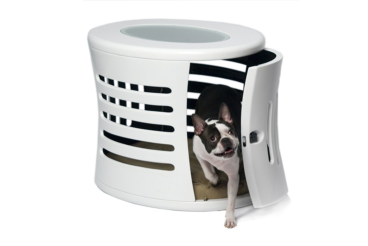 10 Must-Have Pet Products for Your Apartment - Draper and Kramer