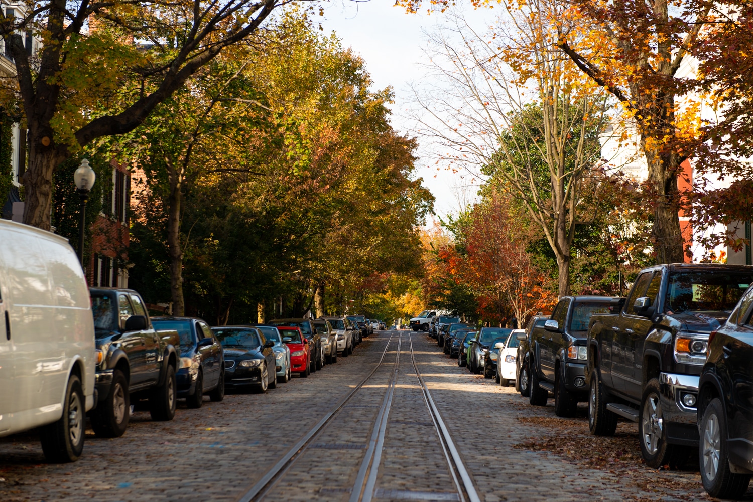 Best DC Fall Picture Locations The Collective