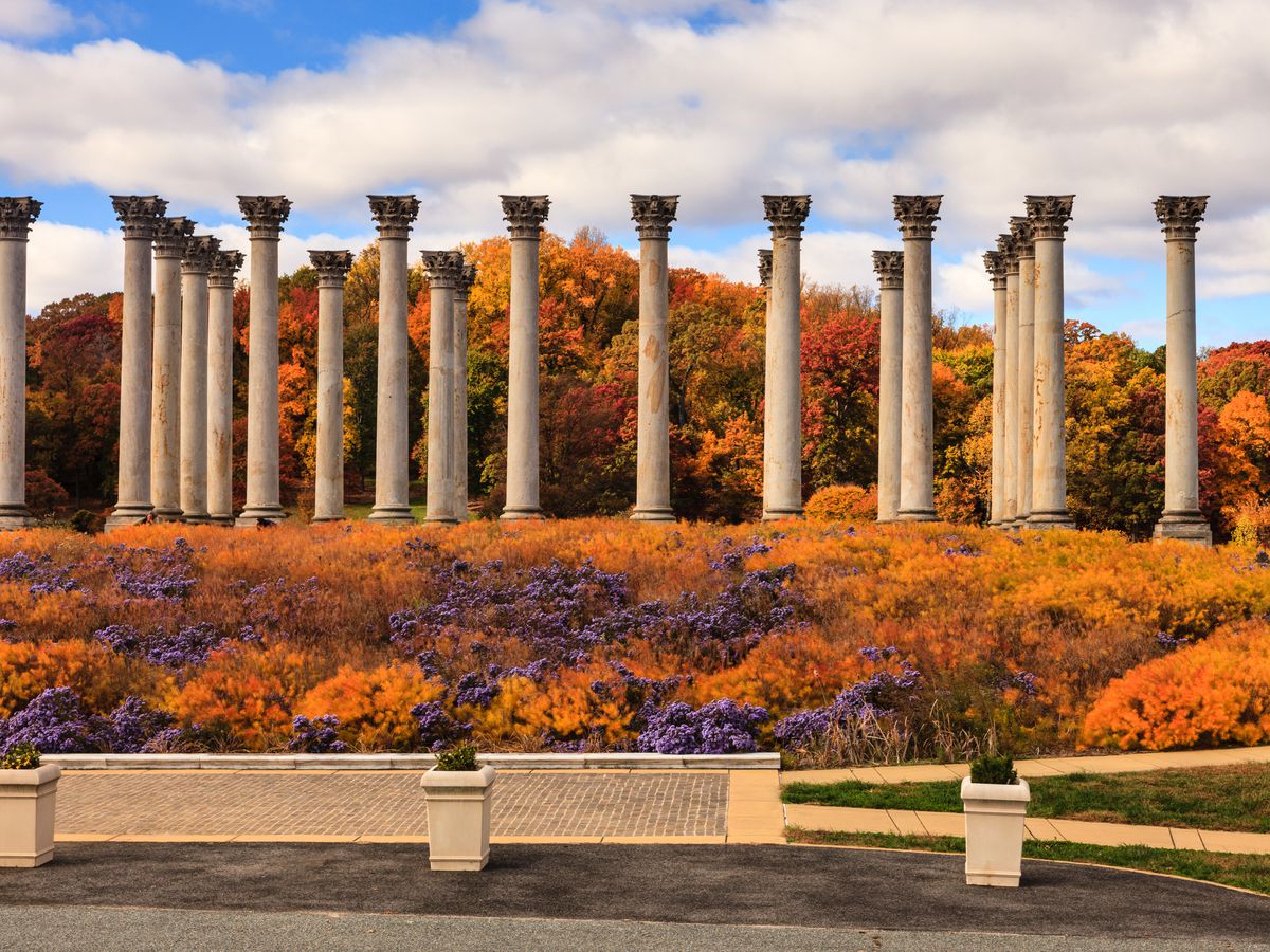 us-national-arboretum