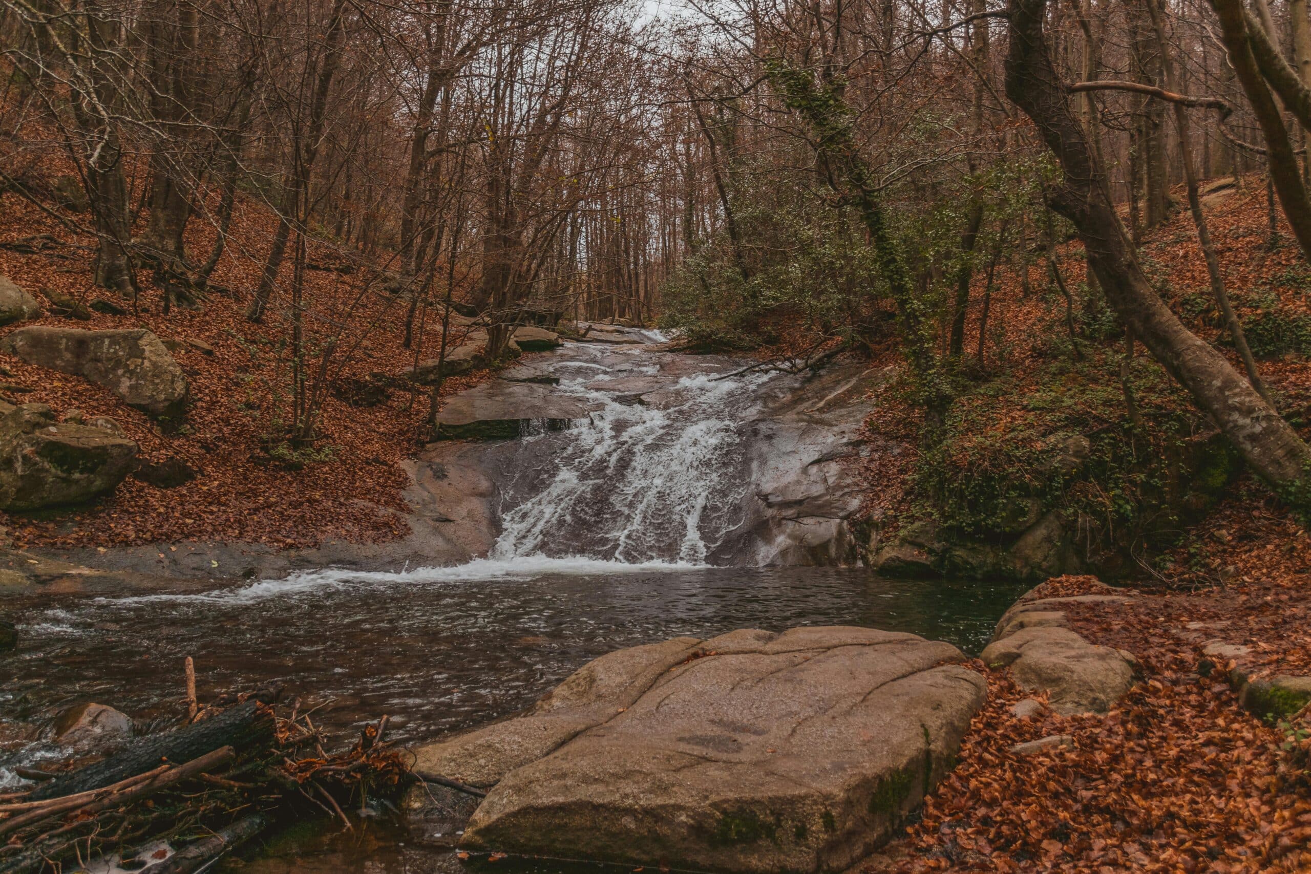 A small waterfall flows through a forest with bare trees and brown leaves on the ground.