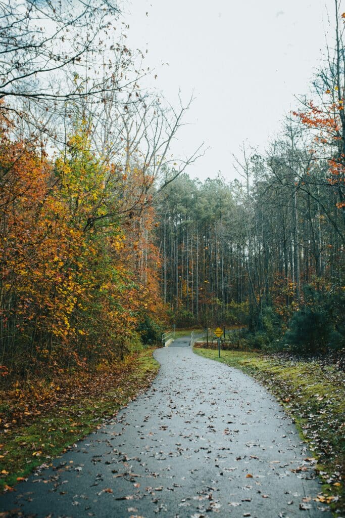 Peak Foliage is Almost Here! Here’s Where to Watch the Leaves Turn Near